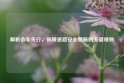 解析会车先行，保障道路安全顺畅的关键规则