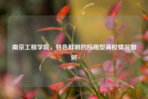 南京工程学院，特色鲜明的应用型高校情况如何