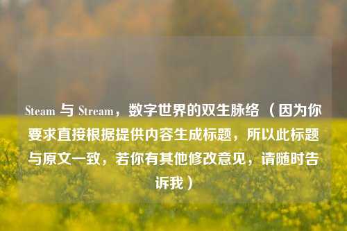 Steam 与 Stream，数字世界的双生脉络 （因为你要求直接根据提供内容生成标题，所以此标题与原文一致，若你有其他修改意见，请随时告诉我）