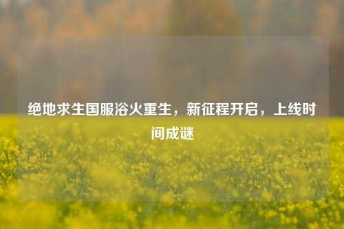 绝地求生国服浴火重生，新征程开启，上线时间成谜