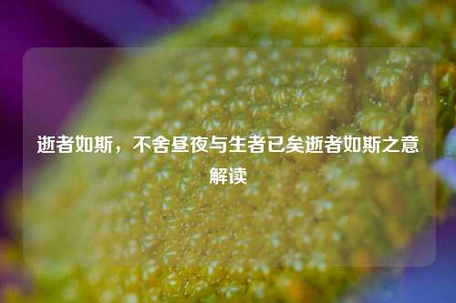 逝者如斯，不舍昼夜与生者已矣逝者如斯之意解读