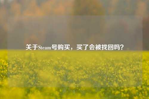 关于Steam号购买，买了会被找回吗？