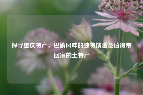 探寻重庆特产,巴渝风味的独特馈赠及值得带回家的土特产