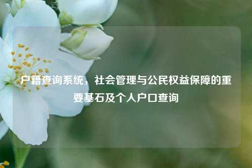户籍查询系统，社会管理与公民权益保障的重要基石及个人户口查询