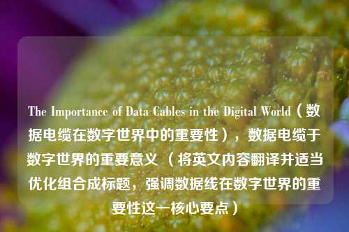 The Importance of Data Cables in the Digital World（数据电缆在数字世界中的重要性），数据电缆于数字世界的重要意义 （将英文内容翻译并适当优化组合成标题，强调数据线在数字世界的重要性这一核心要点）