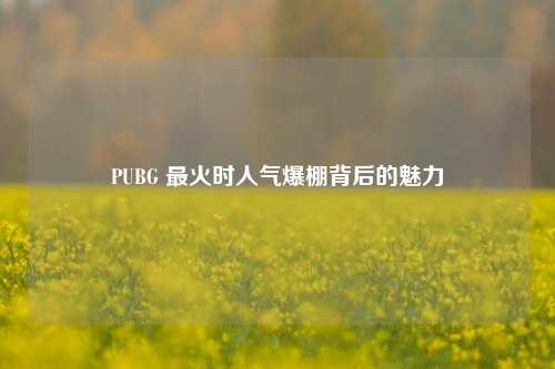 PUBG 最火时人气爆棚背后的魅力