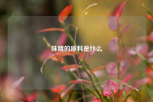 味精的原料是什么