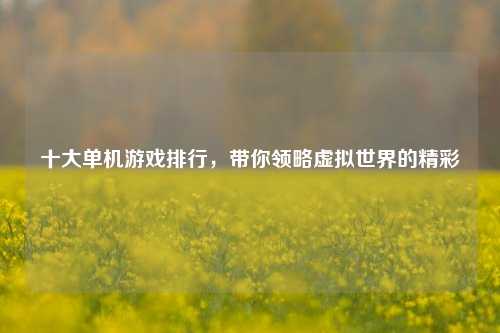 十大单机游戏排行,带你领略虚拟世界的精彩