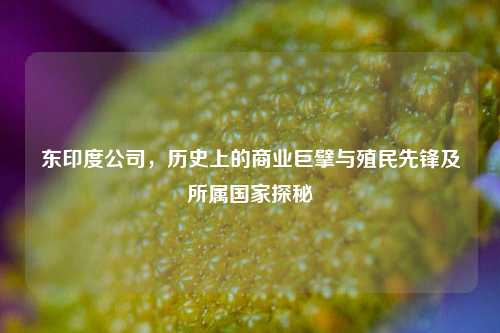 东印度公司，历史上的商业巨擘与殖民先锋及所属国家探秘