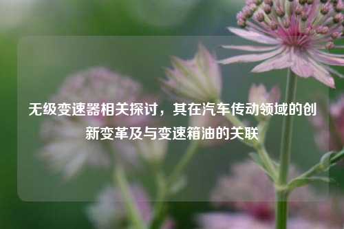 无级变速器相关探讨，其在汽车传动领域的创新变革及与变速箱油的关联