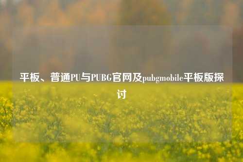 平板、普通PU与PUBG官网及pubgmobile平板版探讨