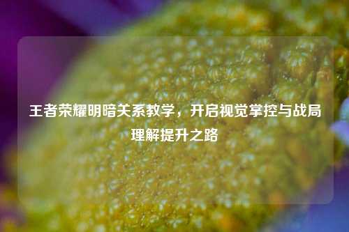 王者荣耀明暗关系教学，开启视觉掌控与战局理解提升之路