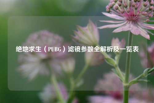 绝地求生（PUBG）滤镜参数全解析及一览表