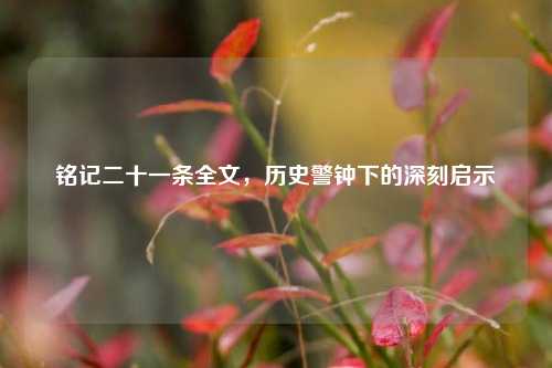 铭记二十一条全文，历史警钟下的深刻启示