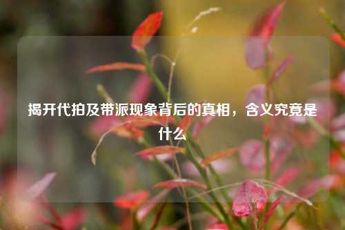 揭开代拍及带派现象背后的真相，含义究竟是什么