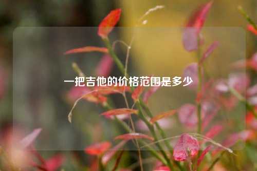 一把吉他的价格范围是多少