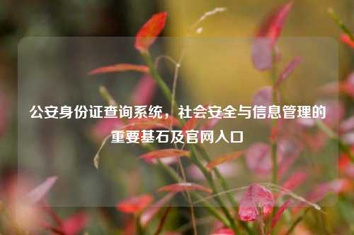公安身份证查询系统，社会安全与信息管理的重要基石及官网入口