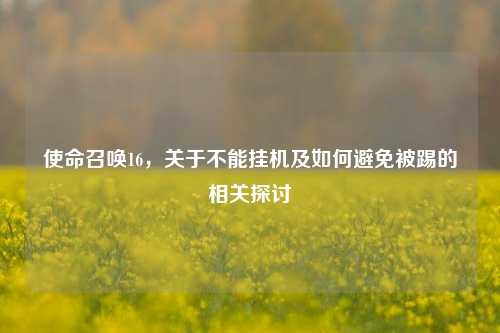 使命召唤16，关于不能挂机及如何避免被踢的相关探讨