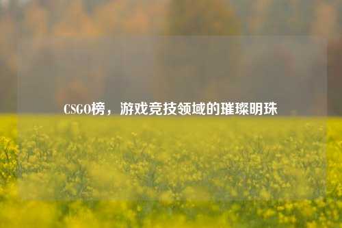 CSGO榜，游戏竞技领域的璀璨明珠