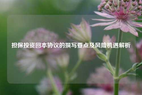 担保投资回本协议的撰写要点及风险机遇解析