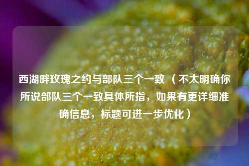 西湖畔玫瑰之约与部队三个一致 （不太明确你所说部队三个一致具体所指，如果有更详细准确信息，标题可进一步优化）