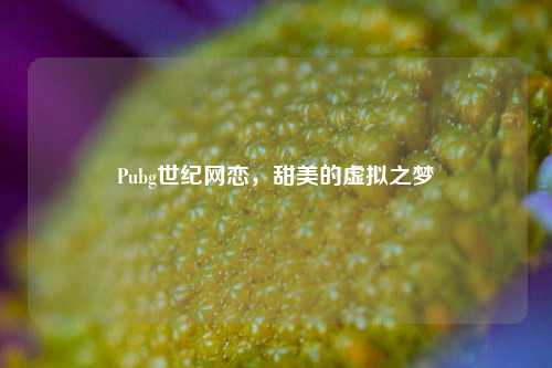 Pubg世纪网恋,甜美的虚拟之梦
