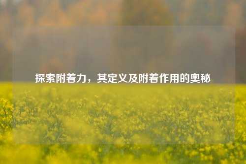 探索附着力，其定义及附着作用的奥秘