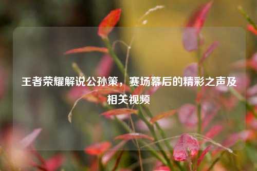 王者荣耀解说公孙策，赛场幕后的精彩之声及相关视频