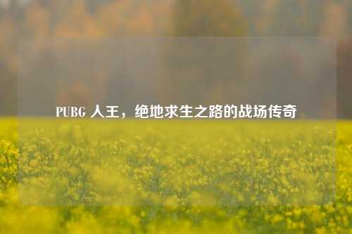 PUBG 人王，绝地求生之路的战场传奇