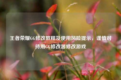 王者荣耀GG修改教程及使用风险提示，谨慎对待用GG修改器修改游戏