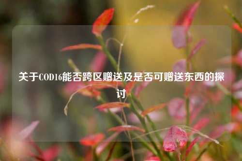 关于COD16能否跨区赠送及是否可赠送东西的探讨