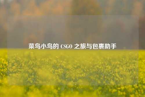 菜鸟小鸟的 CSGO 之旅与包裹助手
