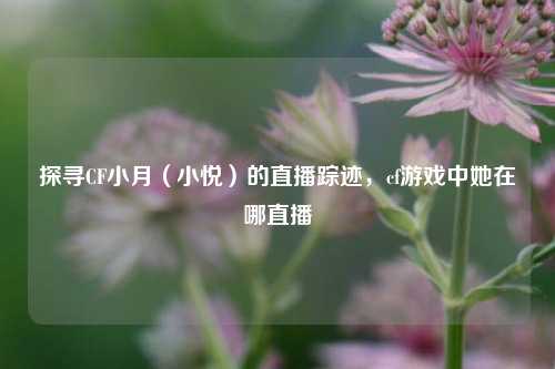 探寻CF小月（小悦）的直播踪迹，cf游戏中她在哪直播