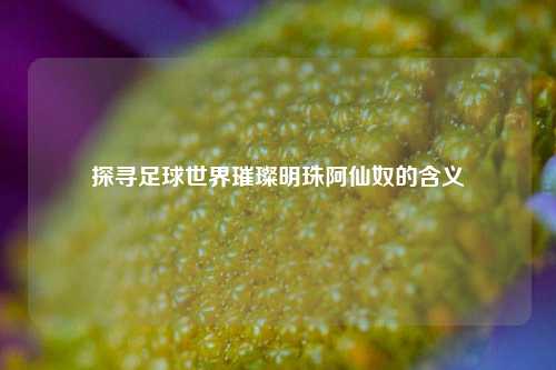 探寻足球世界璀璨明珠阿仙奴的含义