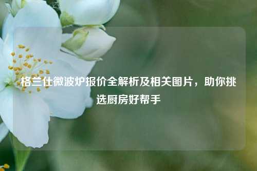 格兰仕微波炉报价全解析及相关图片，助你挑选厨房好帮手