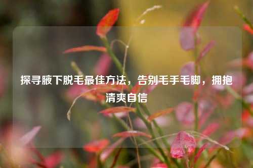 探寻腋下脱毛最佳方法,告别毛手毛脚,拥抱清爽自信