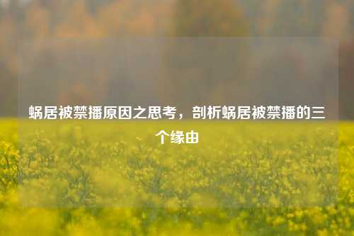 蜗居被禁播原因之思考，剖析蜗居被禁播的三个缘由