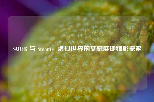 SAOFB 与 Steam，虚拟世界的交融展现精彩探索