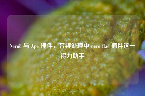 Nero8 与 Ape 插件，音频处理中 nero flac 插件这一得力助手