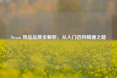 Steam 饰品品质全解析，从入门迈向精通之路