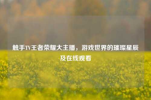 触手TV王者荣耀大主播，游戏世界的璀璨星辰及在线观看