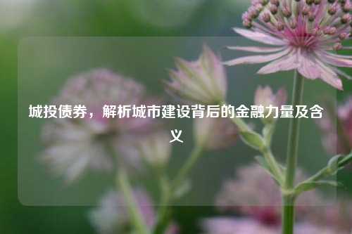 城投债券,解析城市建设背后的金融力量及含义