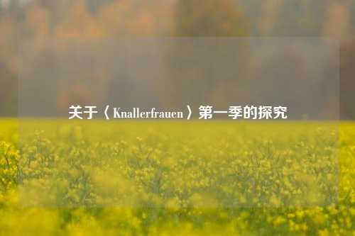 关于〈Knallerfrauen〉第一季的探究