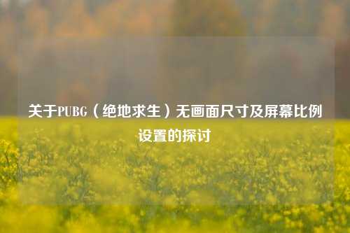 关于PUBG(绝地求生)无画面尺寸及屏幕比例设置的探讨