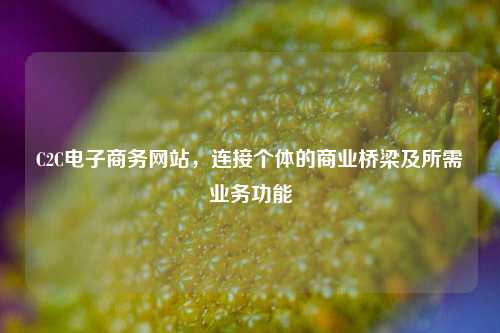 C2C电子商务网站，连接个体的商业桥梁及所需业务功能