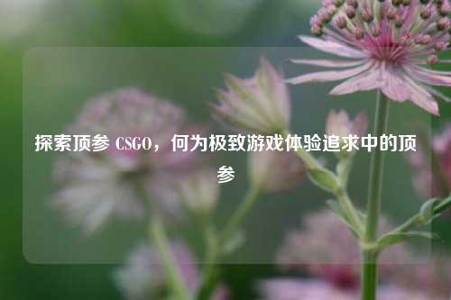 探索顶参 CSGO,何为极致游戏体验追求中的顶参