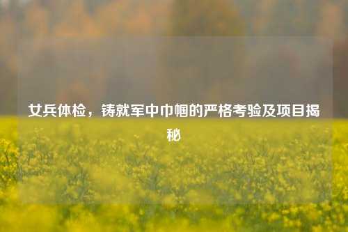 女兵体检,铸就军中巾帼的严格考验及项目揭秘