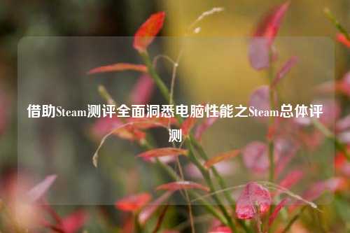 借助Steam测评全面洞悉电脑性能之Steam总体评测