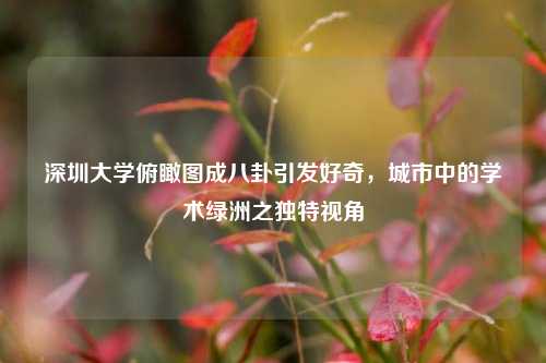 深圳大学俯瞰图成八卦引发好奇，城市中的学术绿洲之独特视角