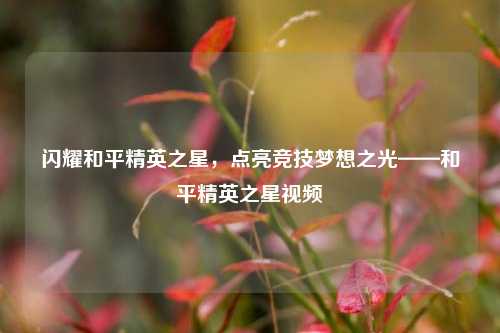 闪耀和平精英之星，点亮竞技梦想之光——和平精英之星视频